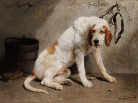 Chien Rosa Bonheur