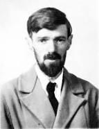 D H Lawrence