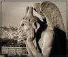 Notre dame
